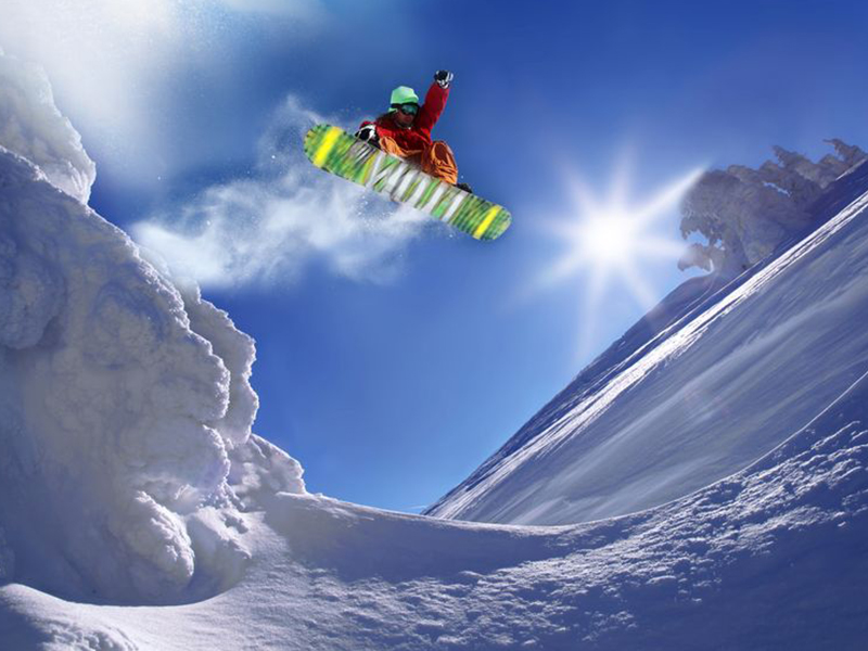 Snowboard topping tiramisu bear cla